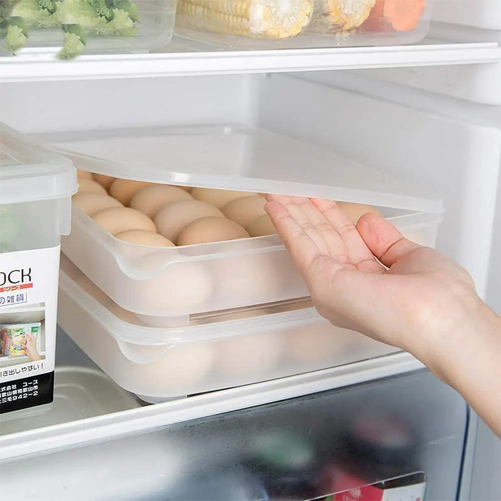 Alackar Plastic 24 Egg Fridge Storage Container, Stackable & Transparent