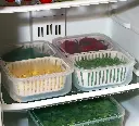 Stravos Divider Fridge Container - 2500 ml (Pack of 2)