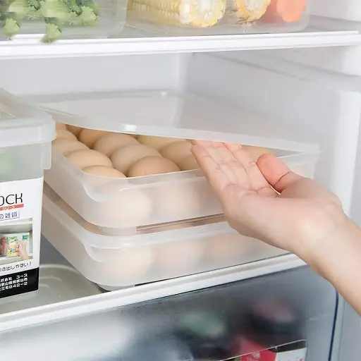 [STRWHT100012-24] Alackar Plastic 24 Egg Fridge Storage Container, Stackable & Transparent