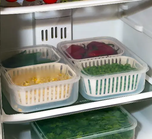 Stravos Divider Fridge Container - 2500 ml (Pack of 2)